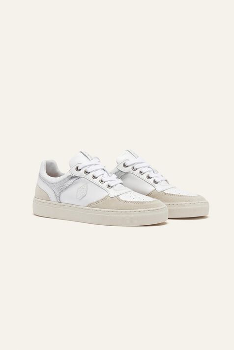 TRAINERS CRUSH