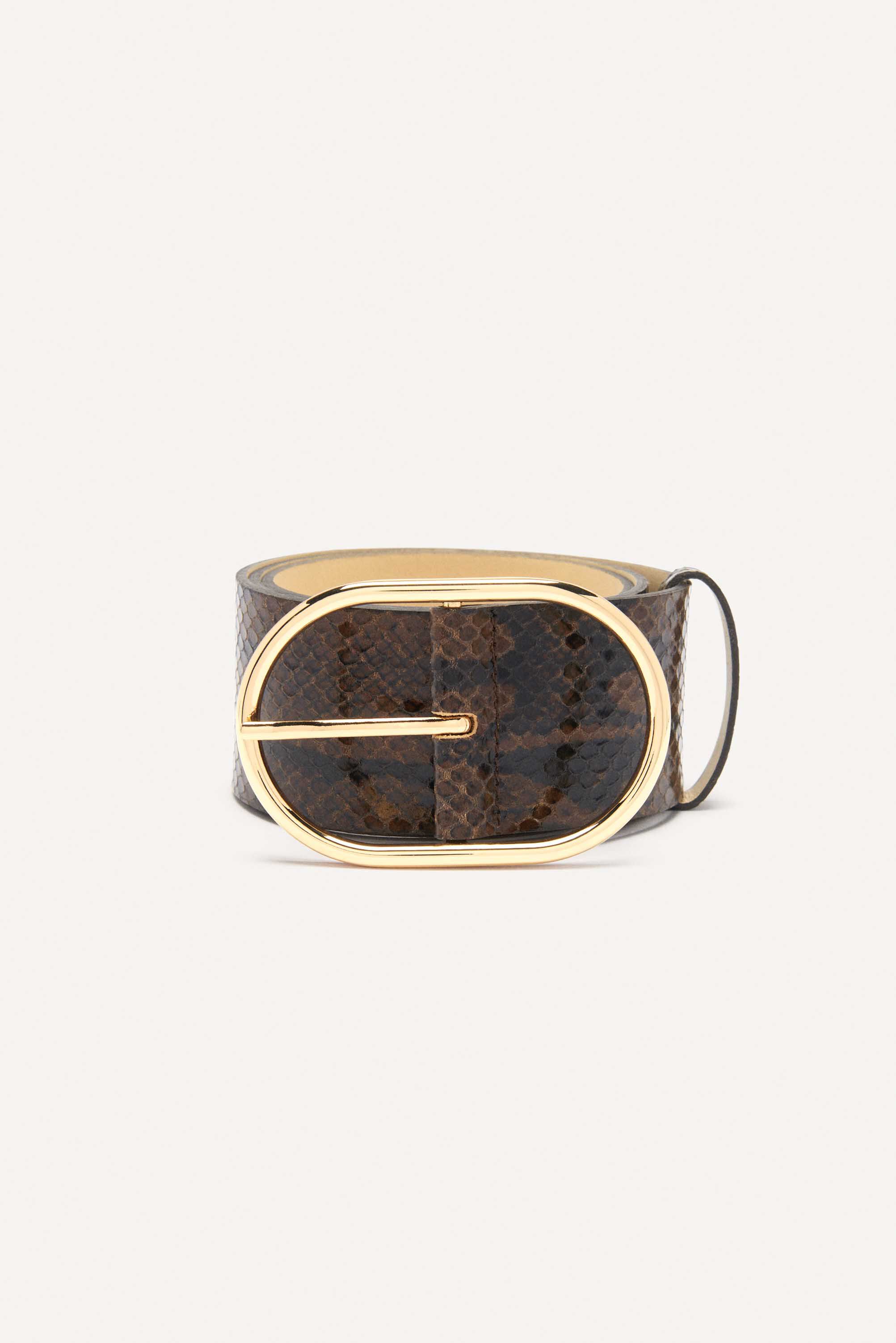 BELT TCOLE