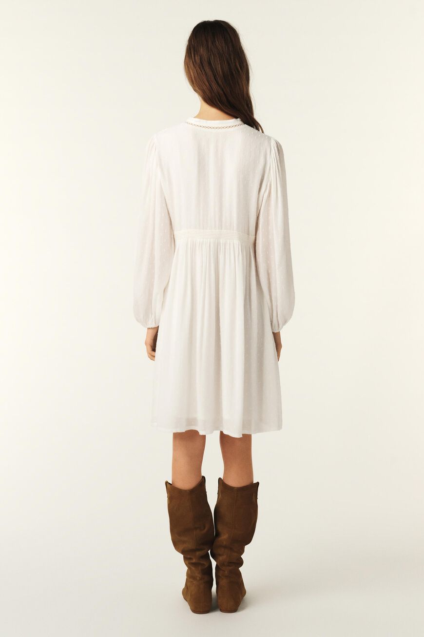 DRESS PETUNIA