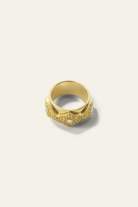 ring ORTIE