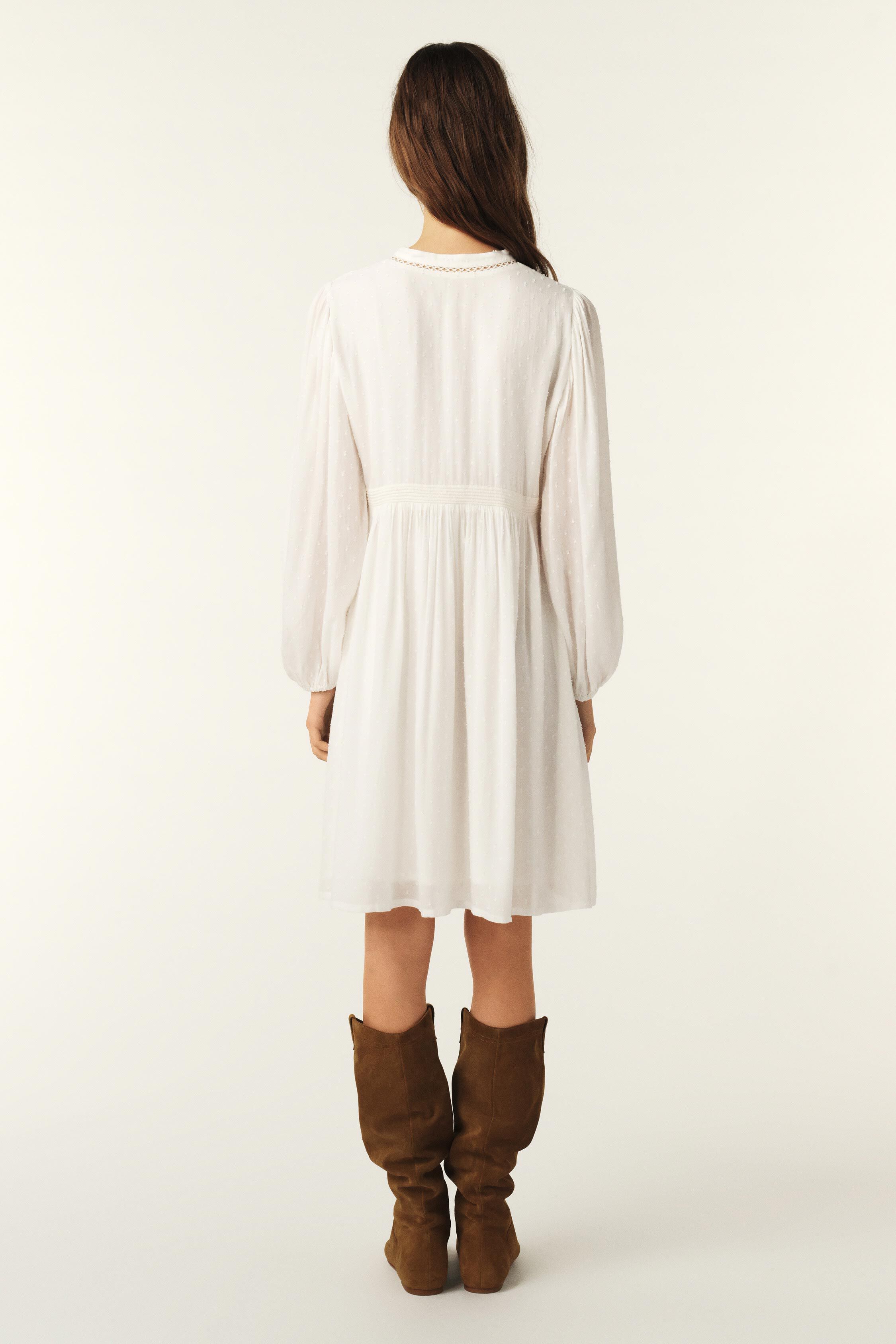 DRESS PETUNIA
