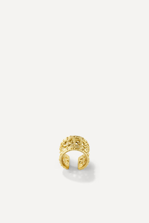 EARRING HINDI
