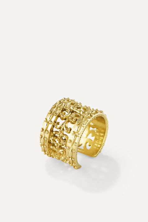 EARRING HINDI