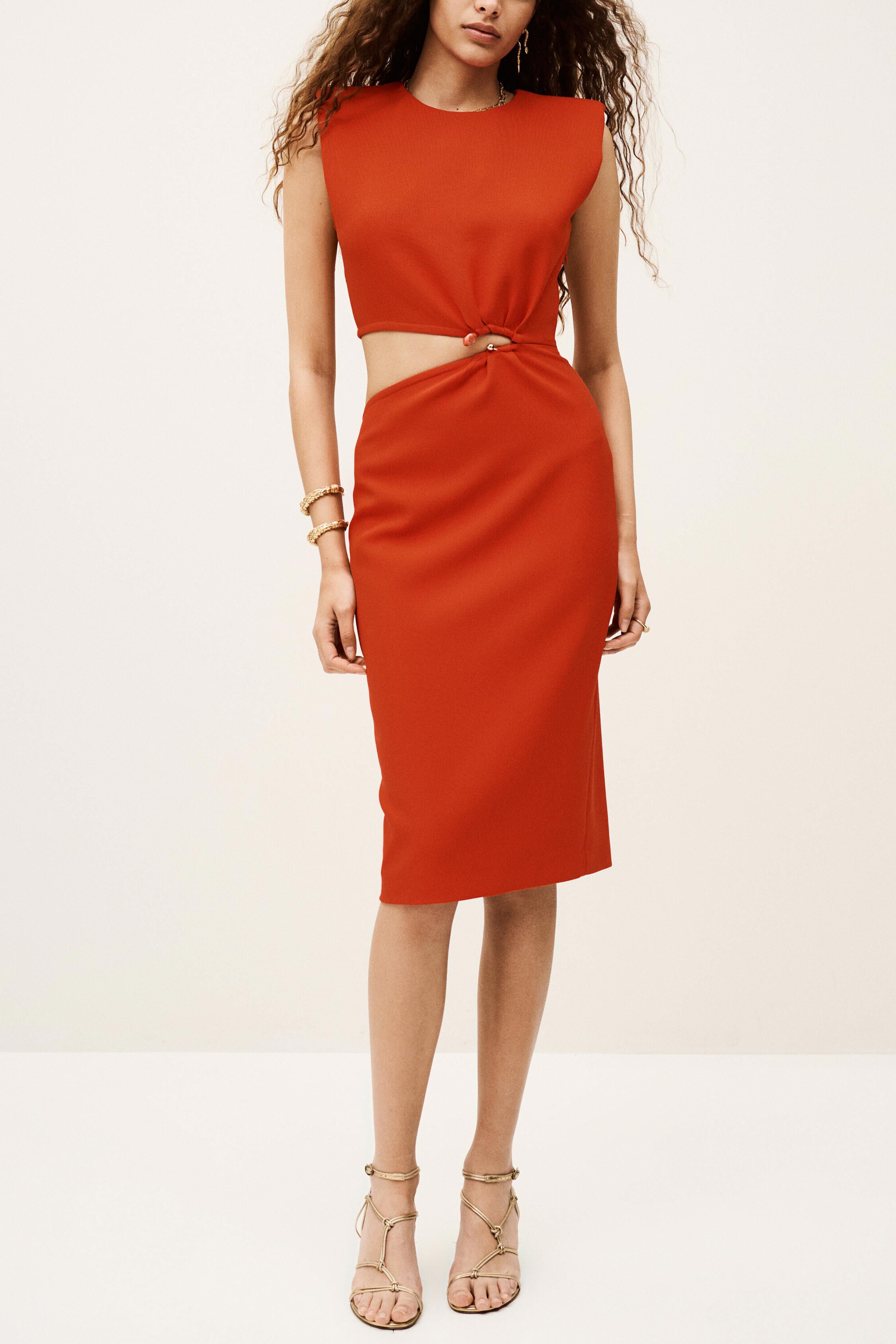 DRESS IRIS