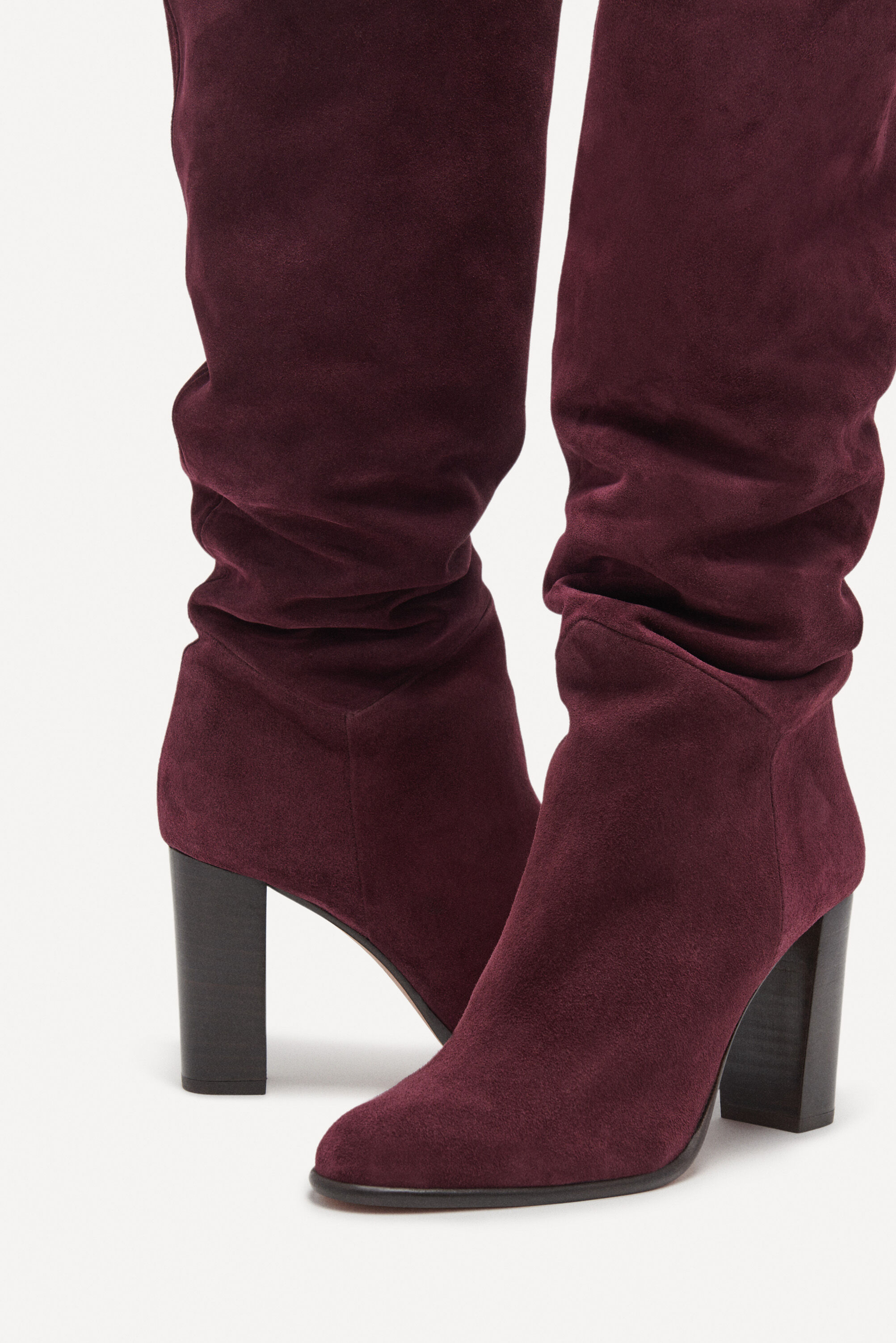 boots SCIRY
