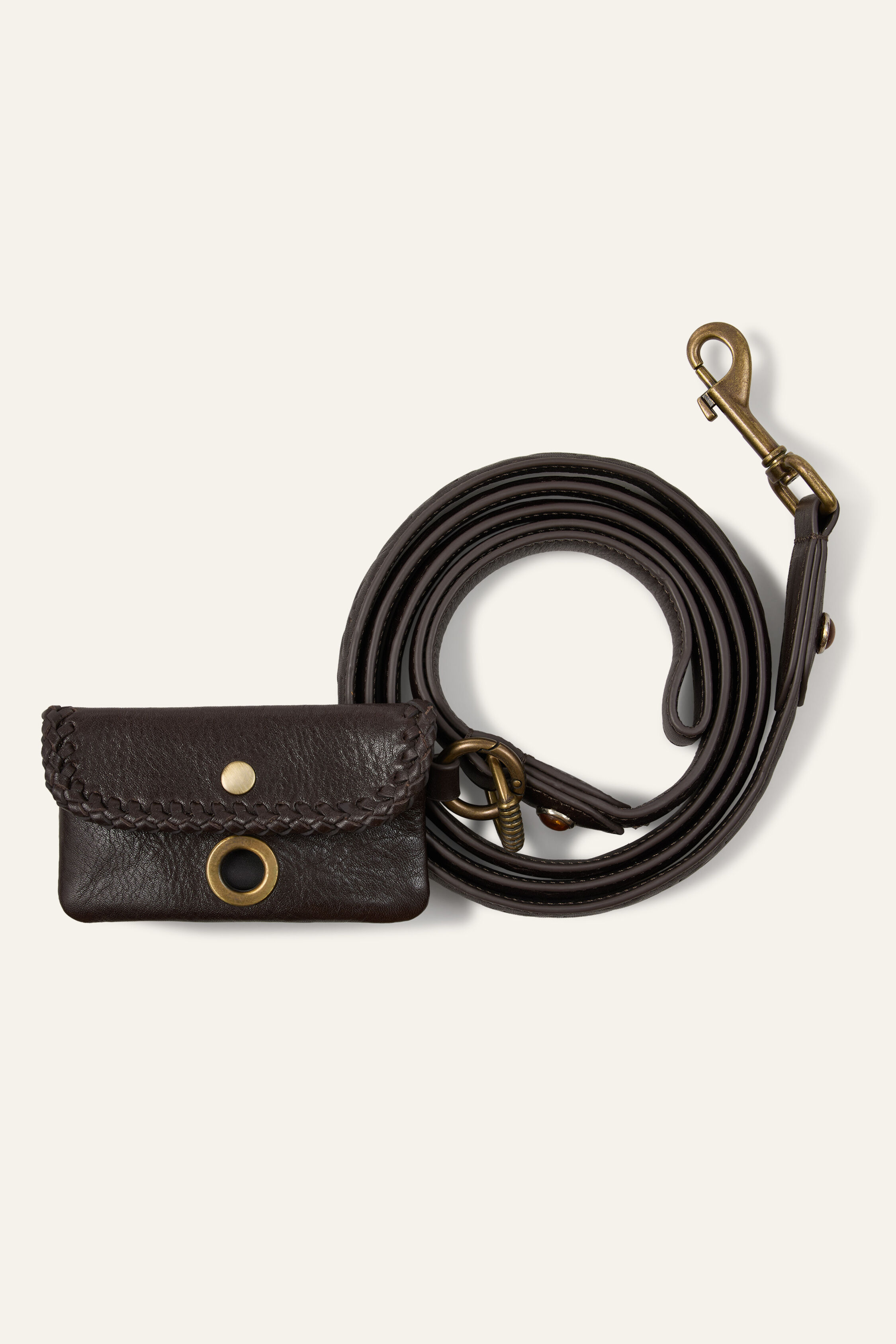 LEASH DOG
