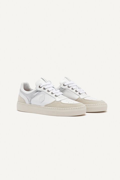 TRAINERS CRUSH