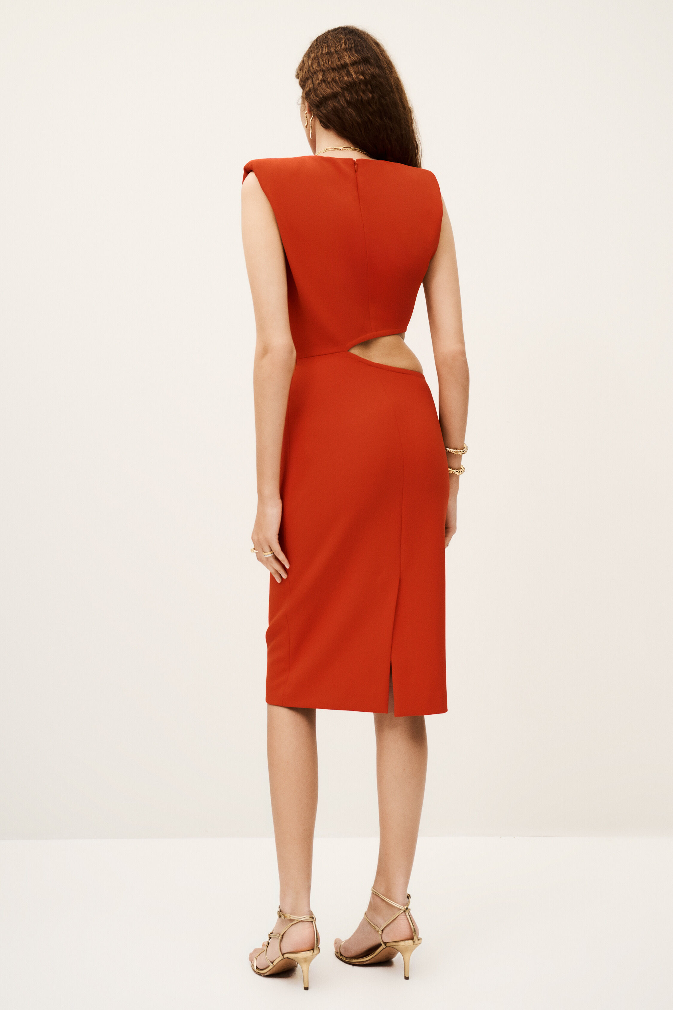 DRESS IRIS