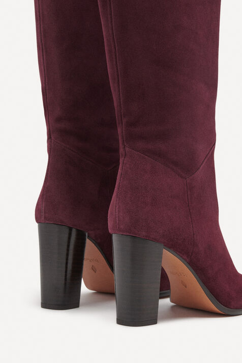 boots SCIRY