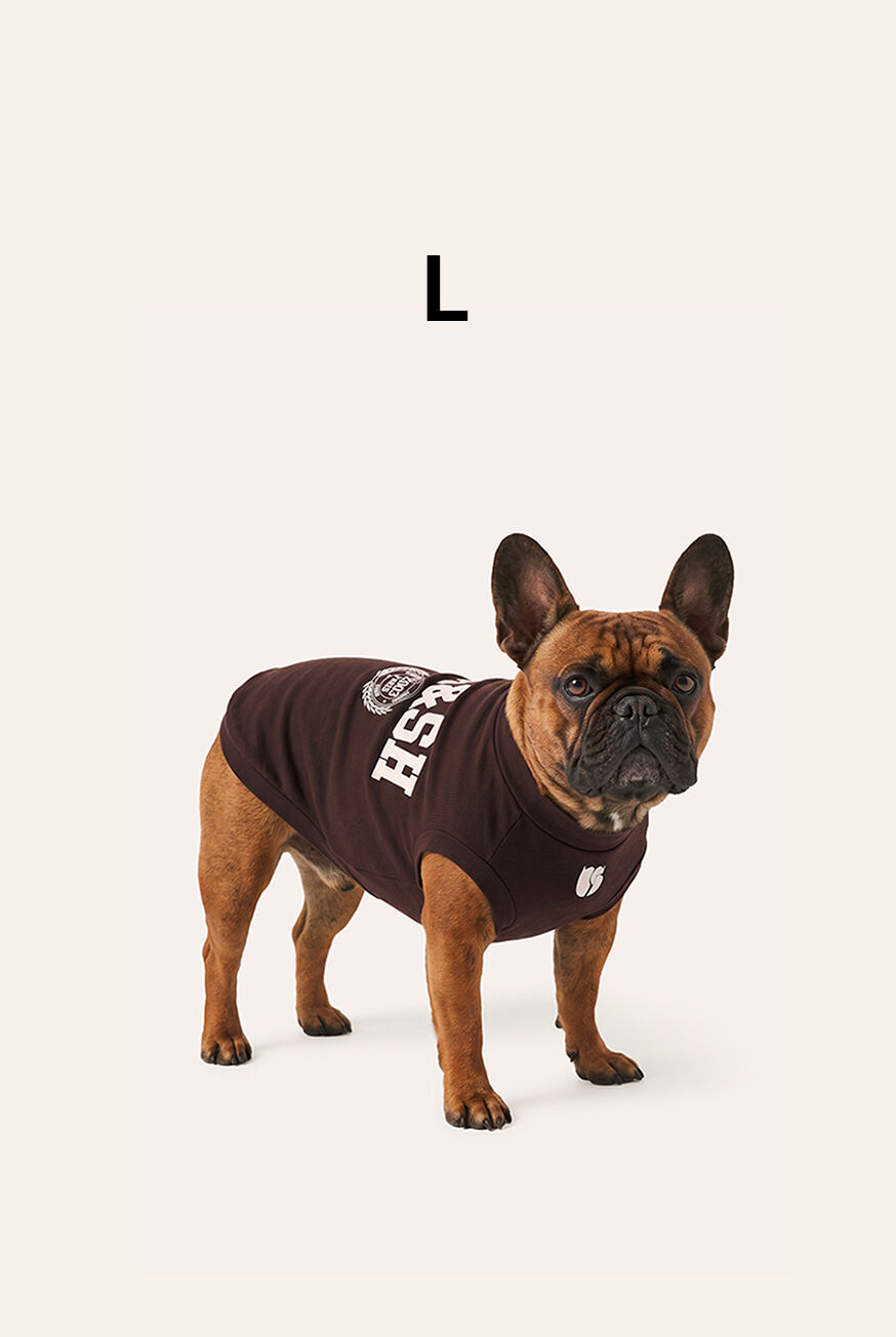 SWEATSHIRT BROWNIE