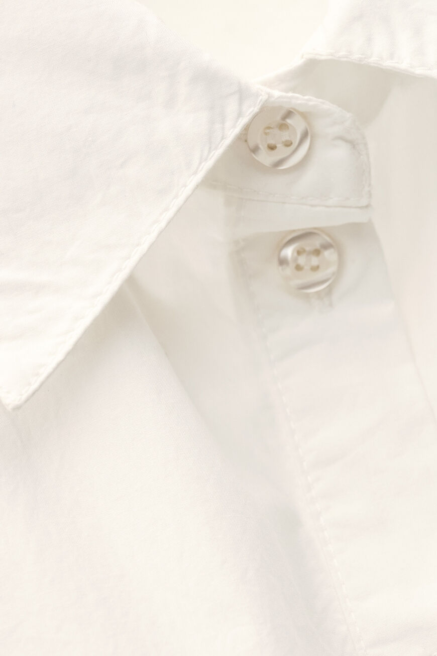 shirt ADAM