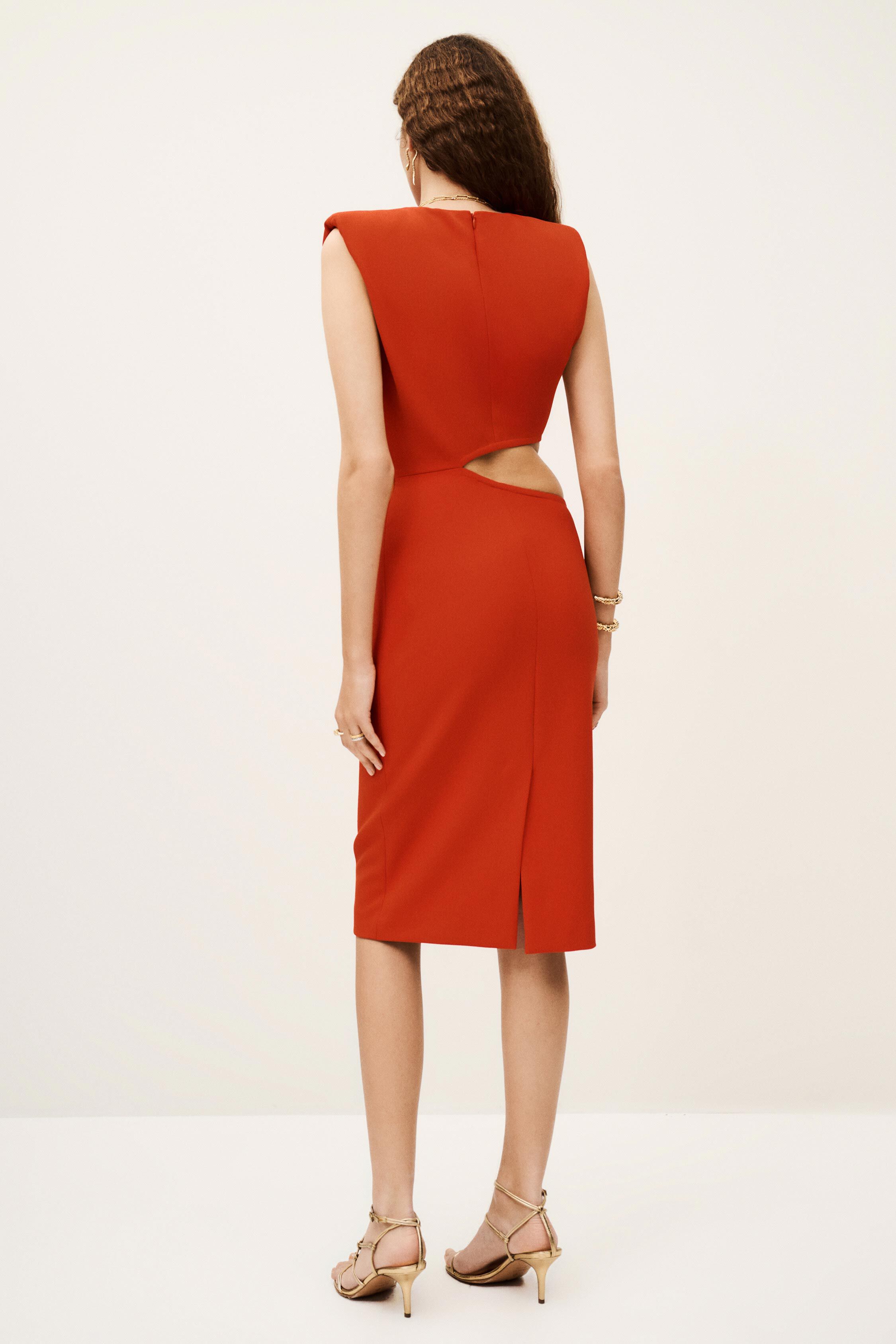 DRESS IRIS