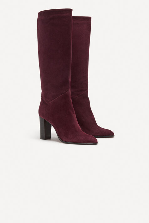 boots SCIRY