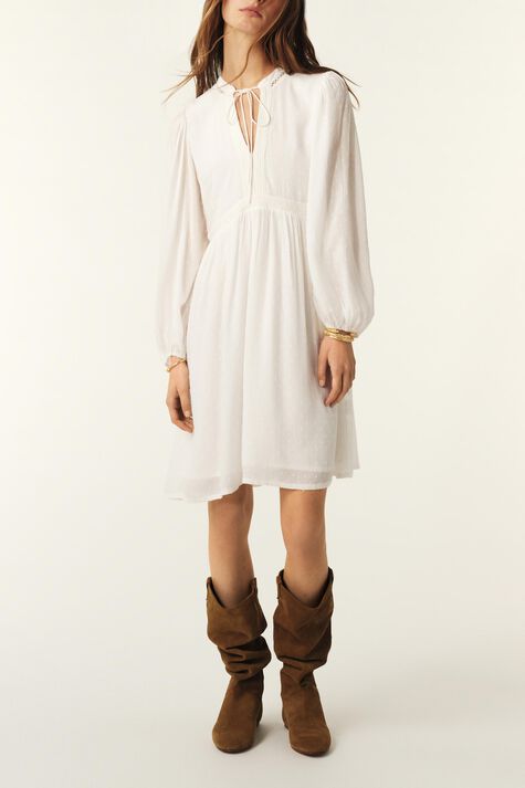 DRESS PETUNIA