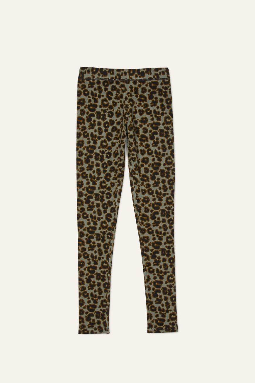 Legging ASCAR