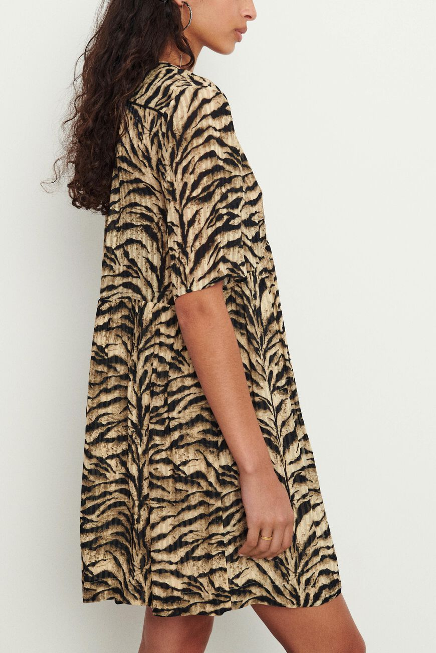 DRESS IRIS