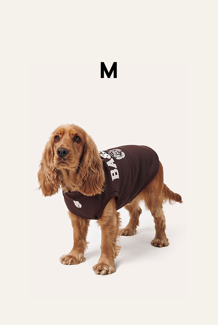 SWEATSHIRT BROWNIE