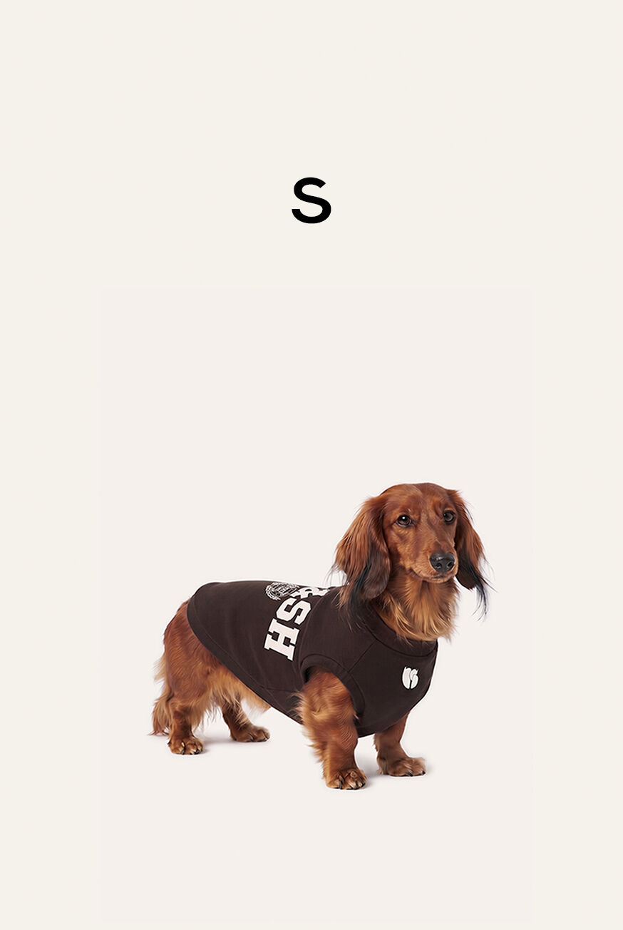 SWEATSHIRT BROWNIE