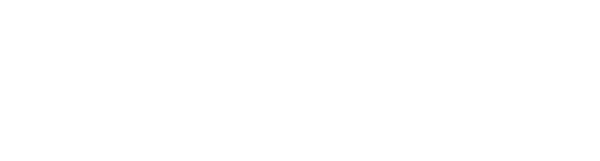 PULSION LOGO