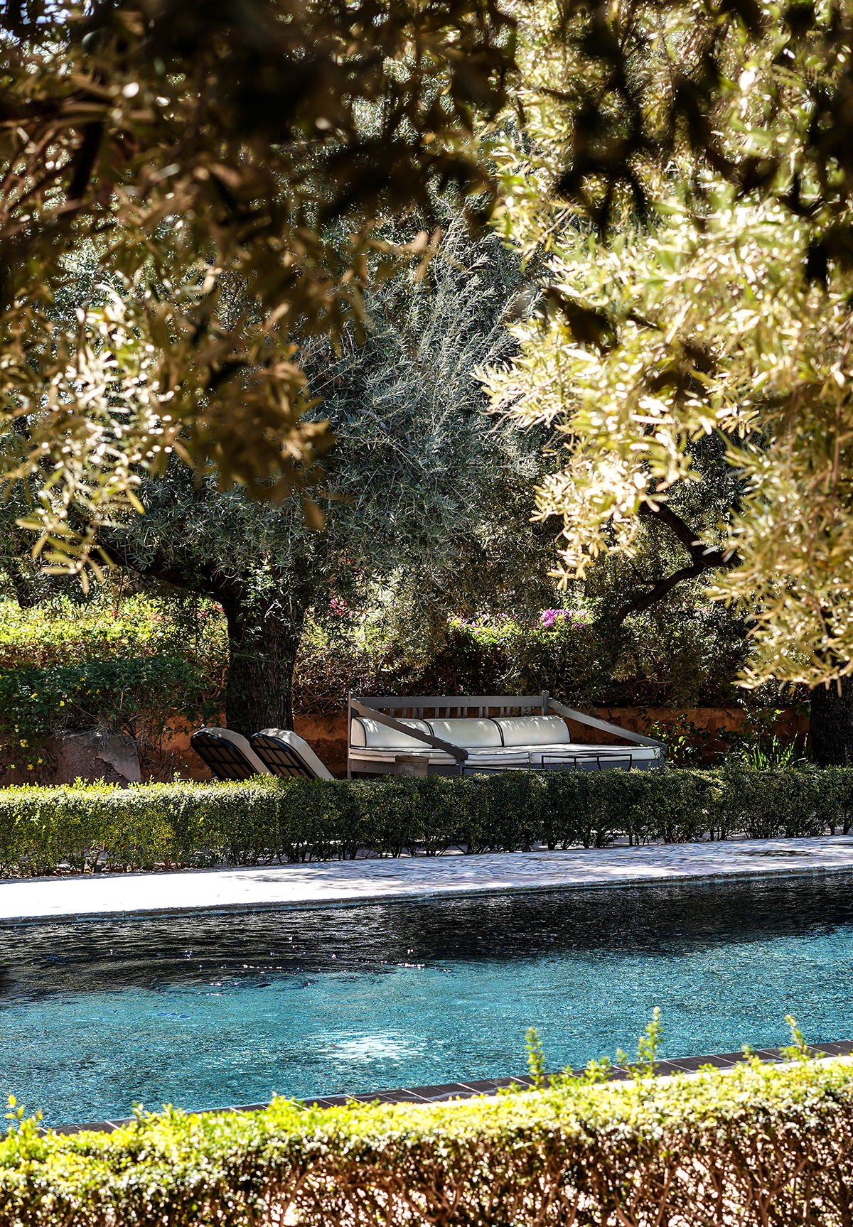 Location with a swimming pool surrounded by trees