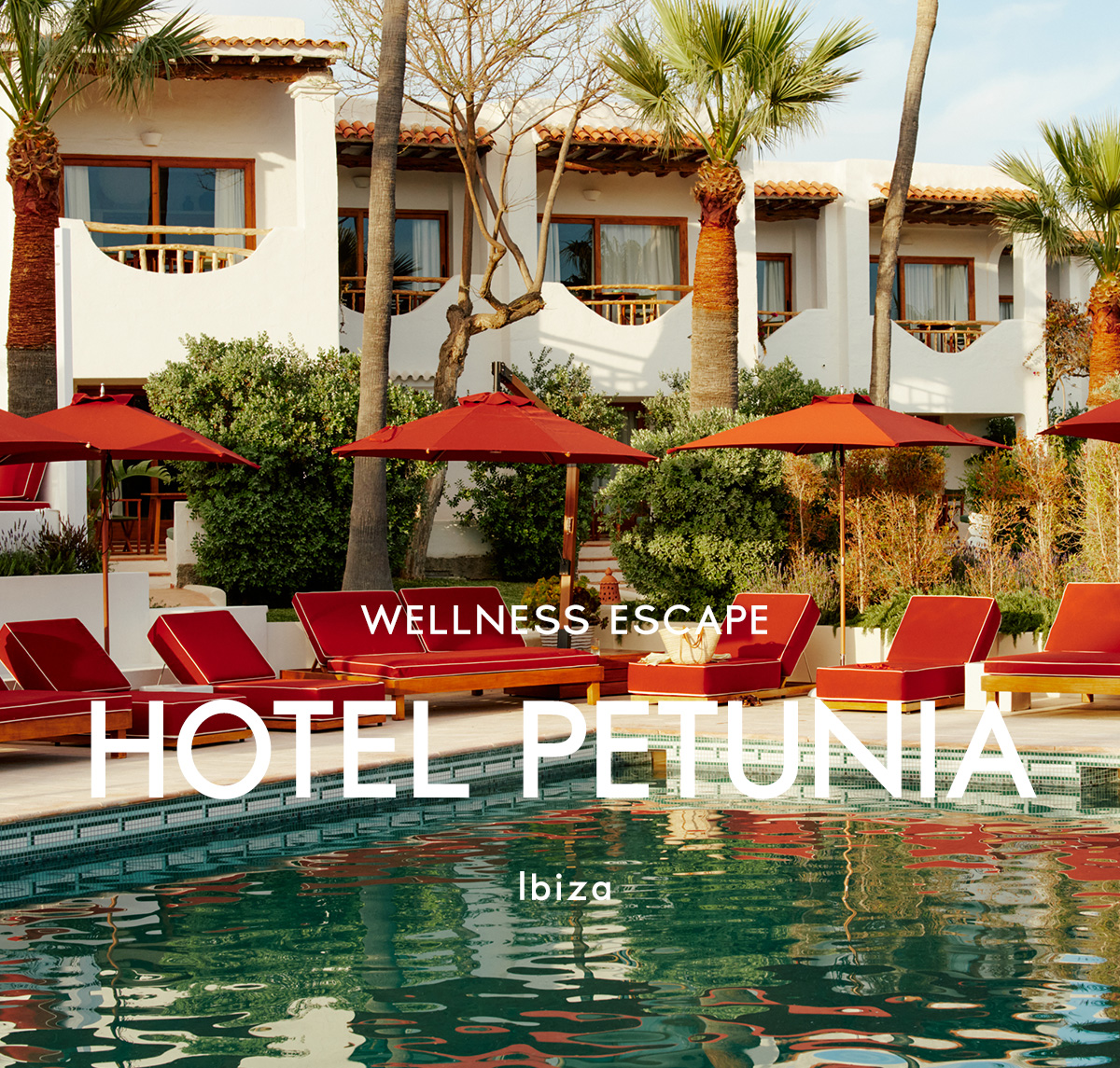 New wellness escape in Ibiza, in the Petunia hotel