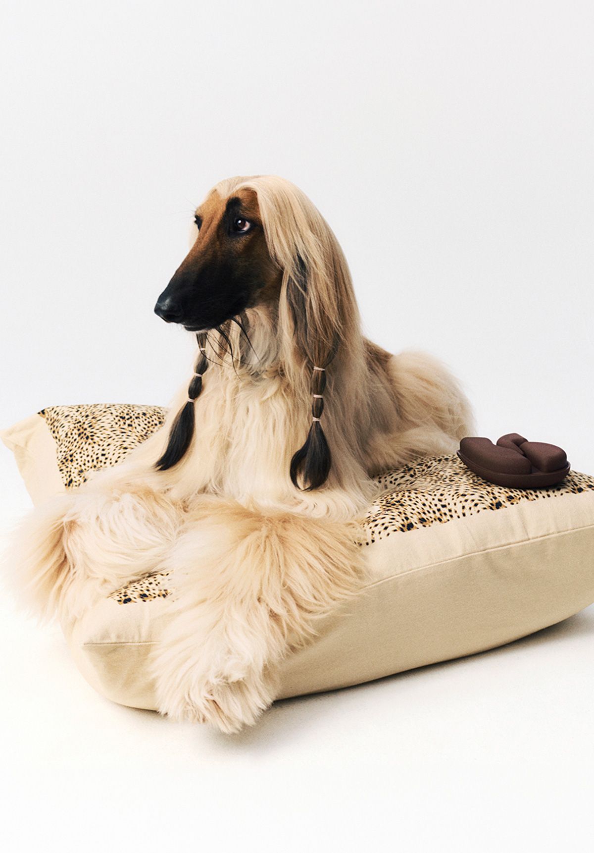 The dog is sitting on a leopard-print armchair and has a ba&sh toy. 